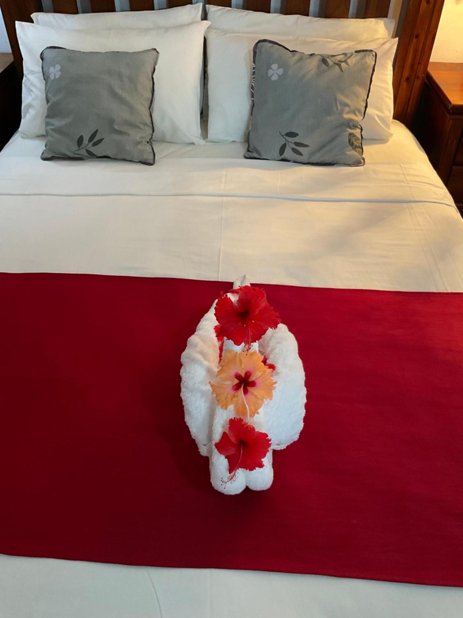 Le Chevalier Bay Guesthouse Anse Lazio Zewnętrze zdjęcie